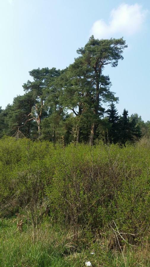 Luett Verbliev Malchow  Esterno foto
